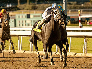 Sahara Sky wins the 2013 Palos Verdes.