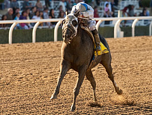 Sahara Sky wins the 2013 Palos Verdes.