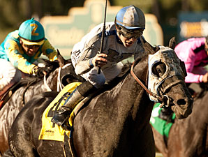 Sahara Sky wins the 2013 Palos Verdes.