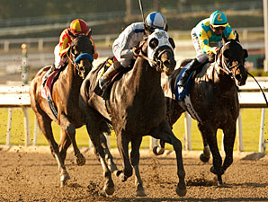 Sahara Sky wins the 2013 San Carlos.