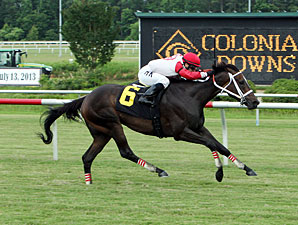 Saintly Love wins the 2013 Old Nelson.