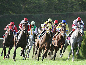 Sal The Barber wins the 2009 Calder Derby.