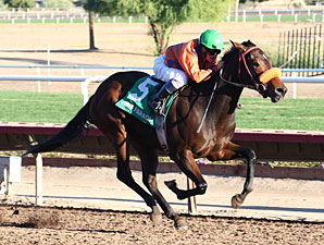 Sallyana wins the 2012 Arizona Breeders' Futurity Fillies Division.