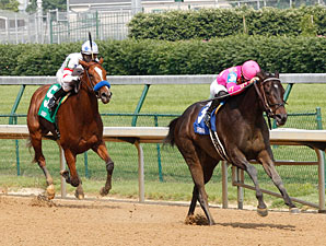Salty Strike wins the 2011 Dogwood.