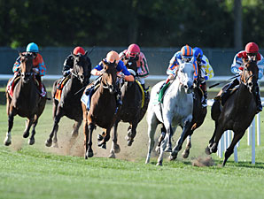 Samitar wins the 2012 Garden City.