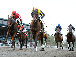 Sanagas wins the 2011 Sycamore.
