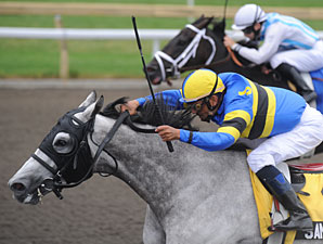 Sand Cove wins the 2010 Seagram Cup.