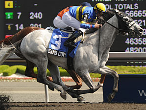 Sand Cove wins the Steady Growth Stakes.