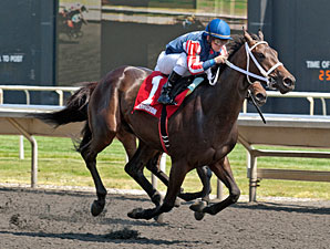 Sandia Crest wins the 2012 Springfield Stakes.