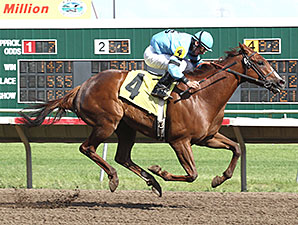 Santo Gato wins the 2012 Honor the Hero Turf Express Stakes.