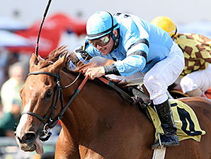 Santo Gato wins the 2012 Honor the Hero Turf Express Stakes.