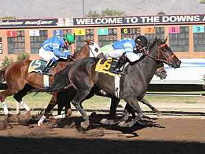 Sapello Cantador wins the 2012 University Of New Mexico Handicap.