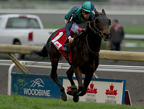 Sarah Lynx wins the 2011 Canadian International.