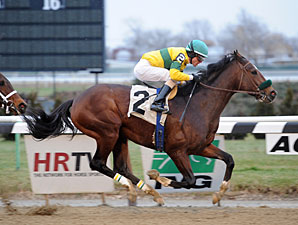 Saratoga Snacks wins the Alx M Robb Stakes.