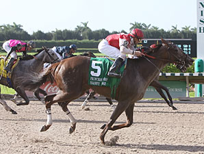 Sassy Image wins the 2011 Princess Rooney.
