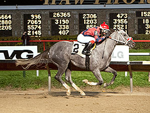 Sasy Ms Elizabeth wins the 2013 Showtime Deb Stakes.