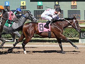Say Charlie wins the 2013 Louisiana Stallion Stakes - Colts and Geldings Division