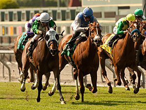 Scarlet Strike wins the 2013 Providencia.