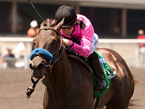 Scherer Magic wins the 2012 Hollywood Juvenile Championship.