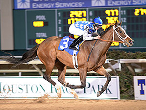 Scooter's Choice wins the 2014 Bara Lass Stakes.