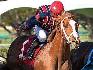 Sea N Suds wins the Rainbow Stakes.