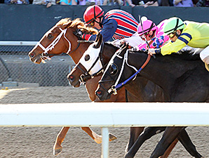 Sea N Suda wins the Rainbow Stakes.