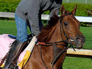 Seaneen Girl on the track for  the Kentucky Oaks.