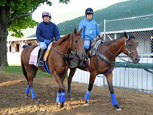 Seaneen Girl - Churchill Downs, May 1, 2013.