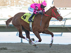 Seaside Fortune #4 with Frankie Pennington riding won the $42,000 feature race, The "Chris Evert" at Philadelphia Park in Bensalem, Pennsylvania February 8, 2010.