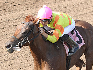 Second Street City wins the 2013 Hoist Her Flag Stakes.