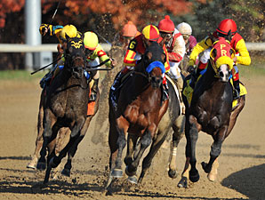 Secret Circle wins the 2011 Breeders' Cup Juvenile Sprint.
