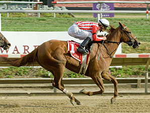 Secret Gypsy wins the 2010 Endine.