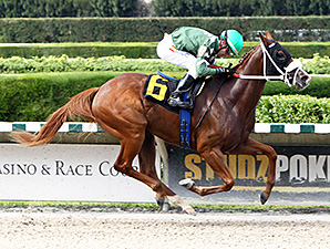 Secret Kitten wins the 2013 Cassidy Stakes.