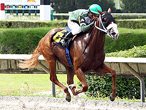 Secret Kitten wins the 2013 Cassidy Stakes.