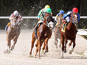 Secret Kitten wins the 2013 Cassidy Stakes.