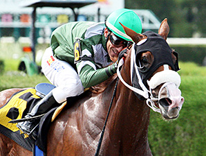 Secret Kitten wins the 2013 Cassidy Stakes.