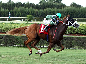 Secret Kitten wins the 2013 Catcharisingstar Stakes.