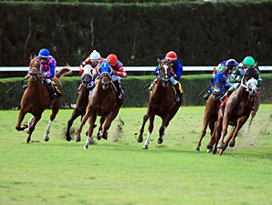 Secret Kitten wins the 2013 Catcharisingstar Stakes.