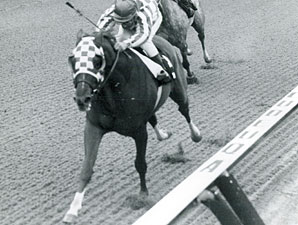 Secretariat wins the 1973 Gotham.