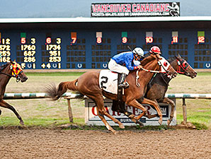Seedle Surprise wins the 2014 Hard Rock Casino Vancouver Handicap.