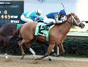 Seeking Ms Shelley wins the Spring Fever Stakes.