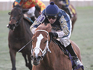 Seeking Ms Shelley wins the 2014 Pan Zareta Stakes.
