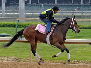 Seeking the Title at Churchill Downs on April 22, 2010.