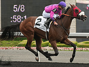 Seffeara wins the 2014 Clarendon Stakes.