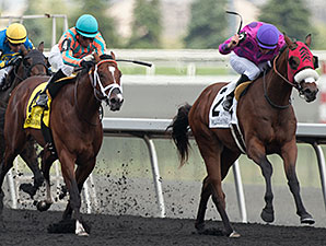 Seffeara wins the 2014 Clarendon Stakes.