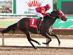 Set'n On Ready wins the 2012 Arizona Juvenile Fillies Stakes.