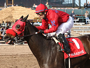 Set'n On Ready wins the 2012 Arizona Juvenile Fillies Stakes.