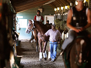 Shackleford - Monmouth Park on July 27, 2011.