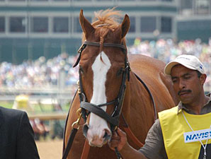 Shackleford in the Churchill Downs Stakes walk over.
