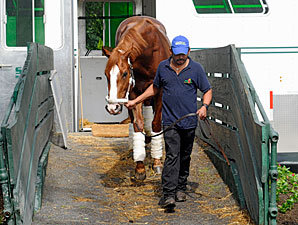 Shackleford arrives at Belmont Park.